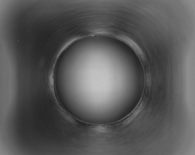 X0000101650814200807171252