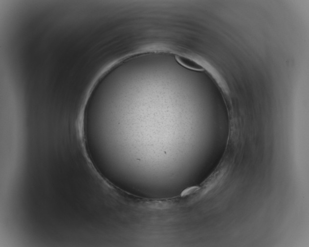 X0000101650815200807171252