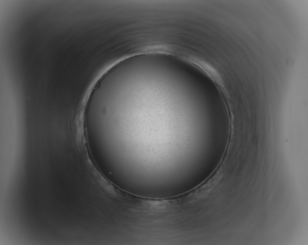 X0000101650816200807171252