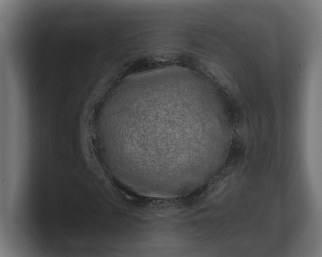 X0000101650817200807171251