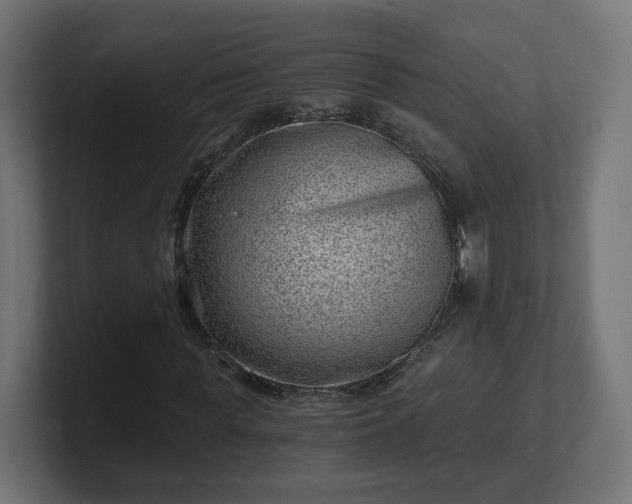 X0000101650819200807171251