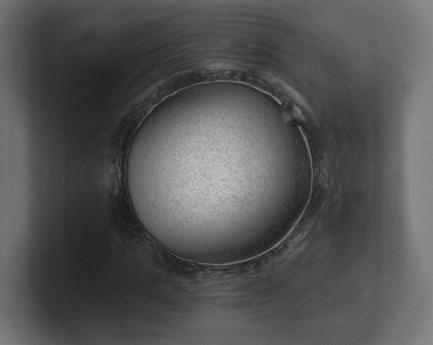 X0000101650821200807171251