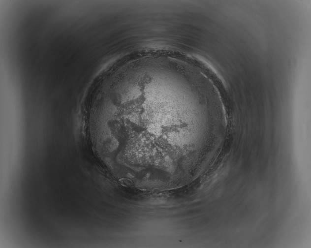 X0000101650823200807171251