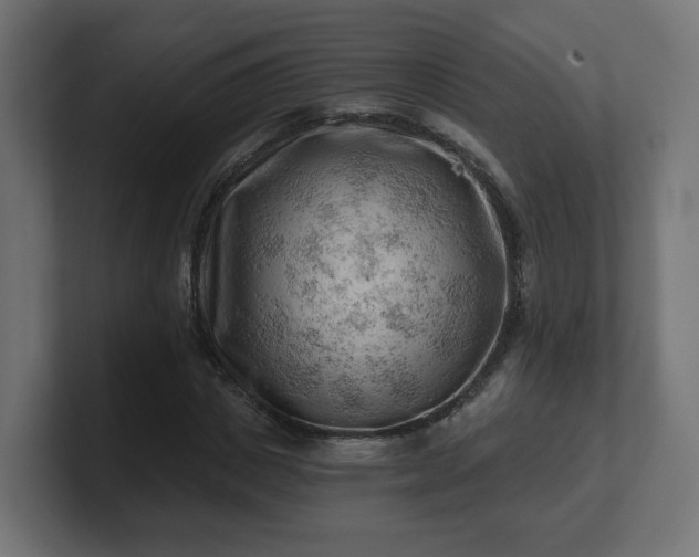 X0000101650825200807171251