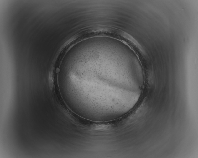 X0000101650826200807171251