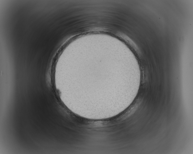 X0000101650828200807171251