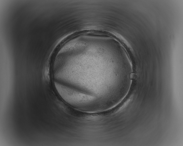 X0000101650830200807171251