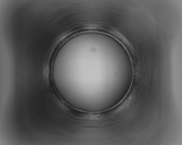 X0000101650831200807171251