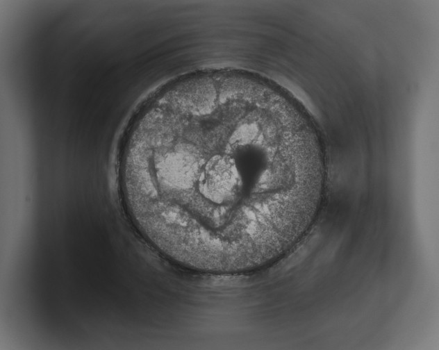 X0000101650832200807171251