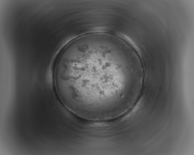 X0000101650835200807171251