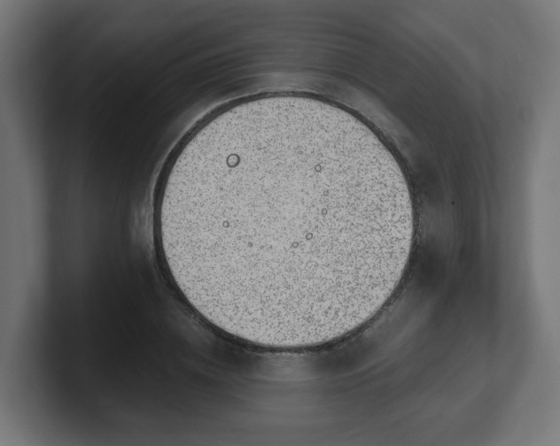 X0000101650836200807171251