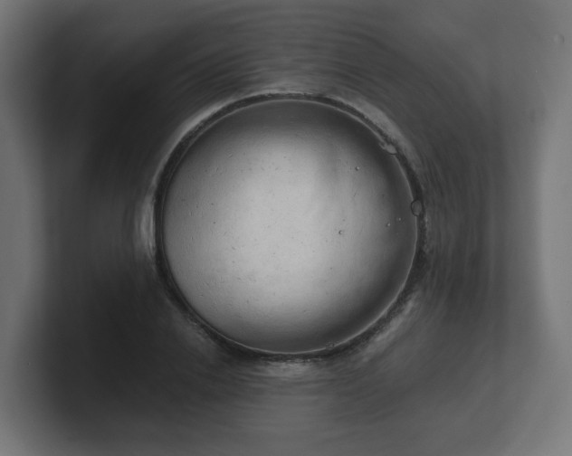 X0000101650838200807171251