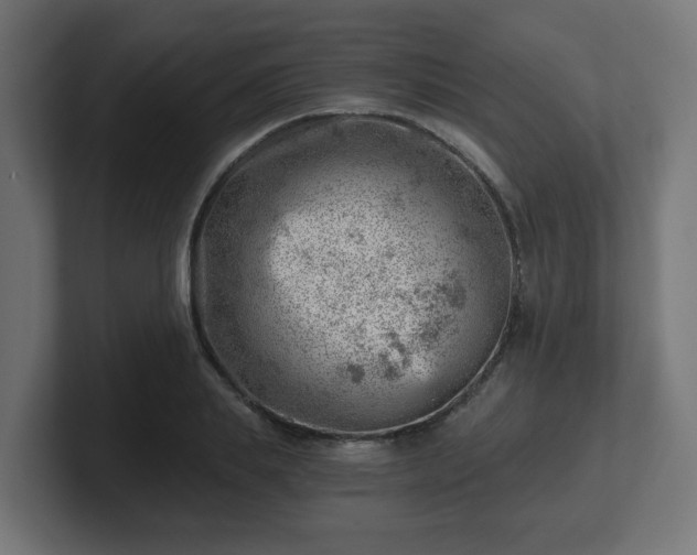 X0000101650839200807171251