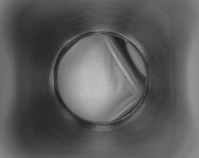 X0000101650840200807171251