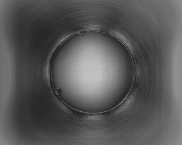 X0000101650843200807171251