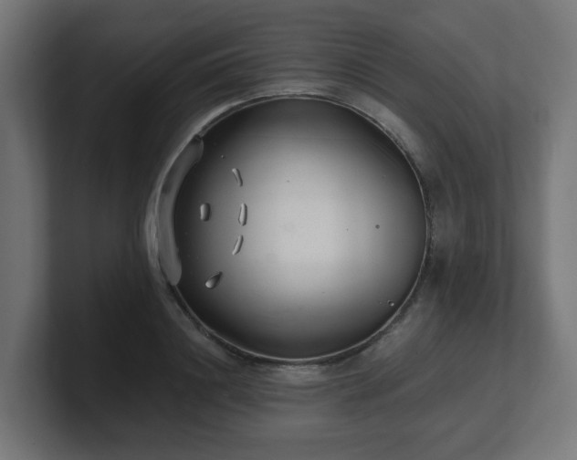 X0000101650844200807171251