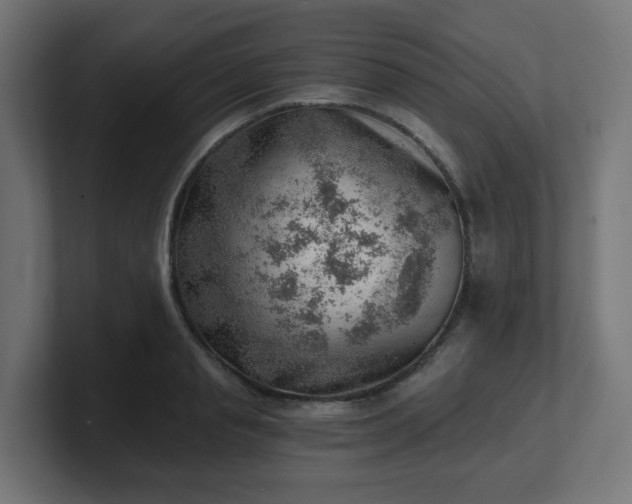 X0000101650845200807171251