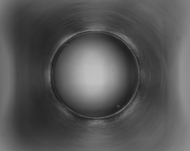 X0000101650846200807171251