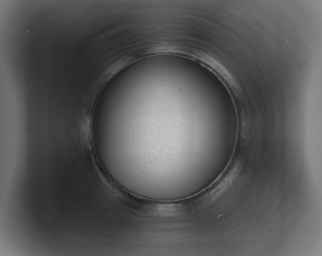 X0000101650849200807171252