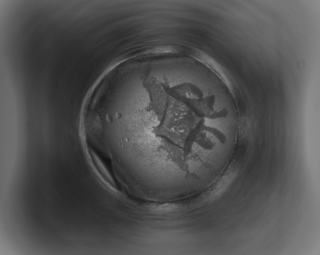 X0000101650851200807171252