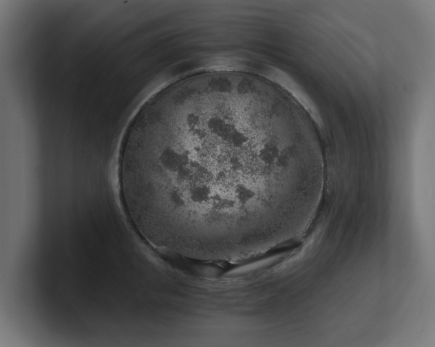 X0000101650853200807171252