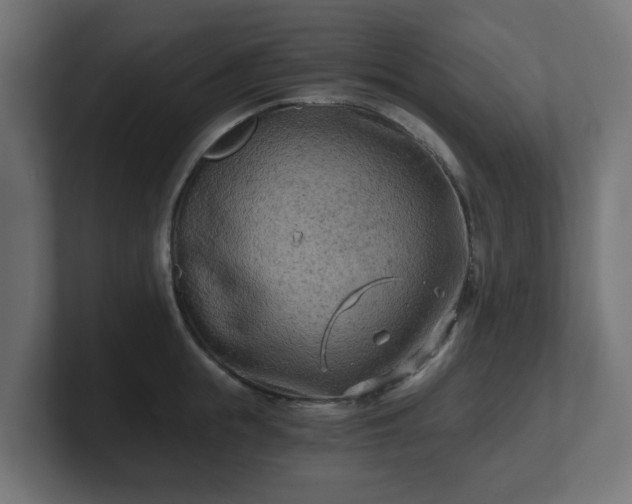 X0000101650855200807171252