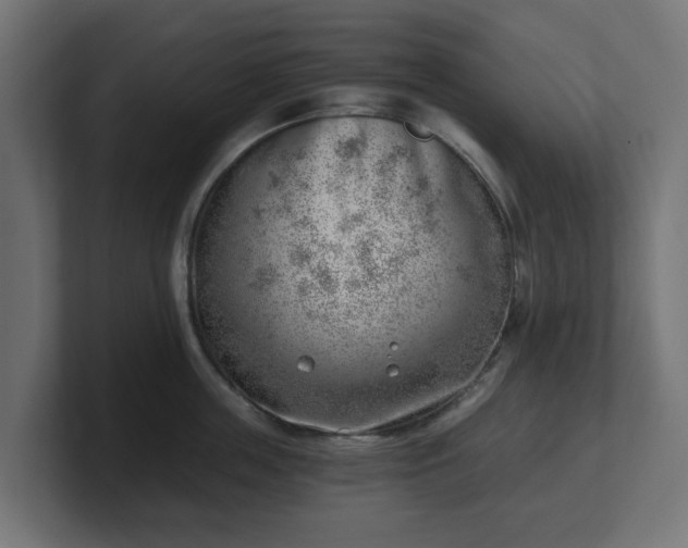 X0000101650859200807171252