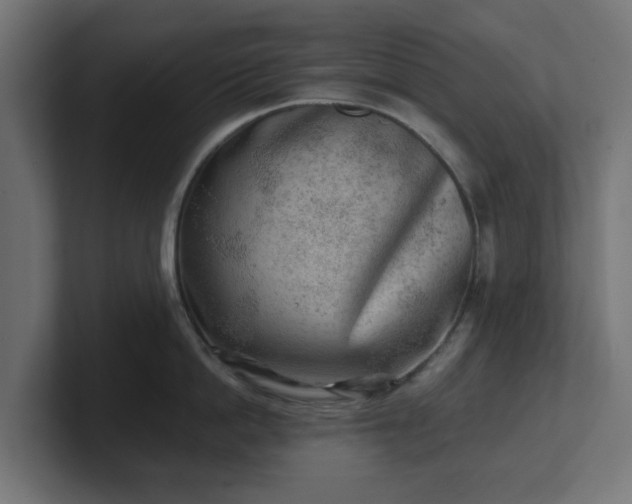 X0000101650862200807171252