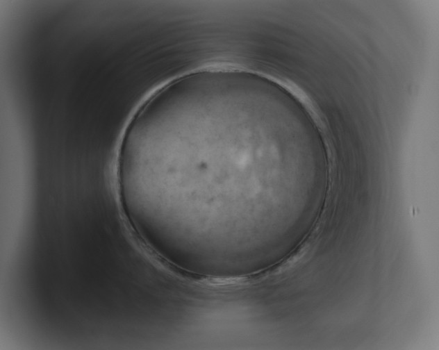 X0000101650864200807171252