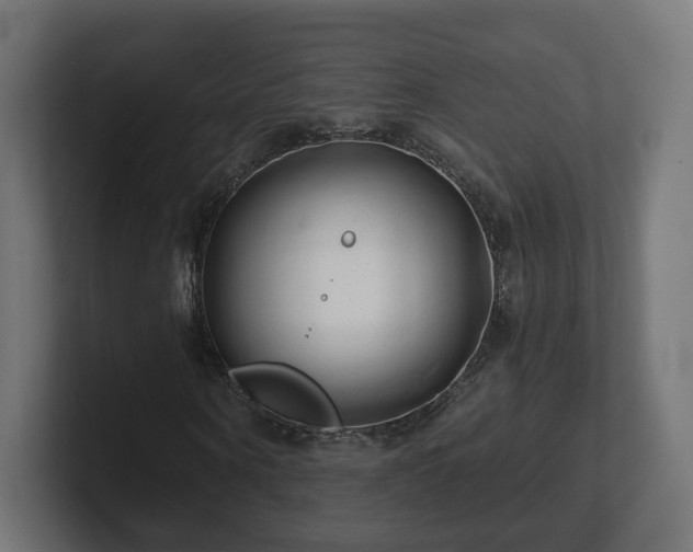 X0000101650866200807171251