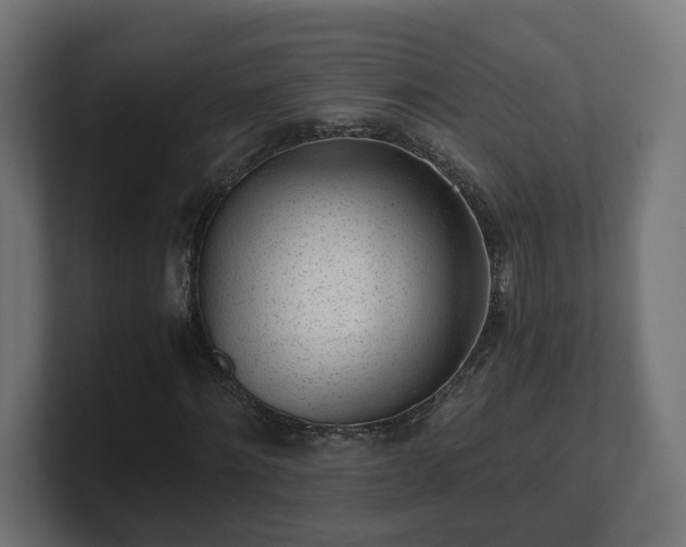 X0000101650868200807171251