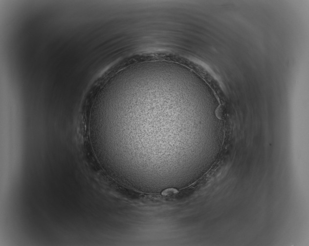 X0000101650871200807171251