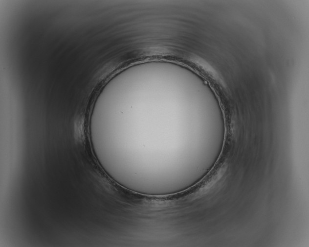 X0000101650873200807171251