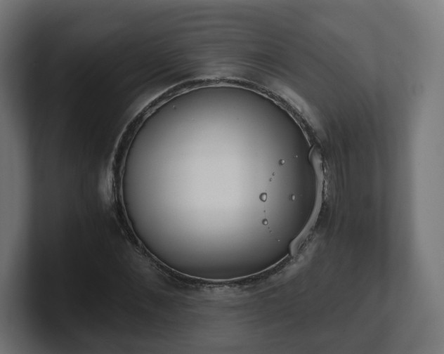 X0000101650876200807171251