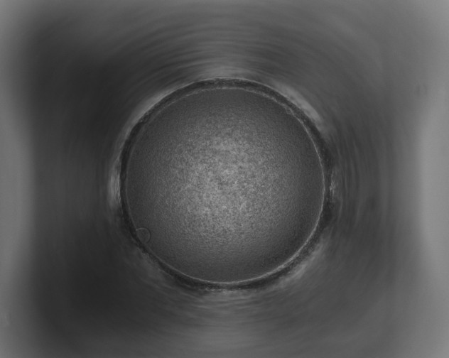 X0000101650877200807171251