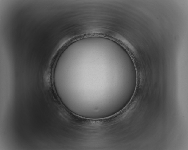 X0000101650878200807171251