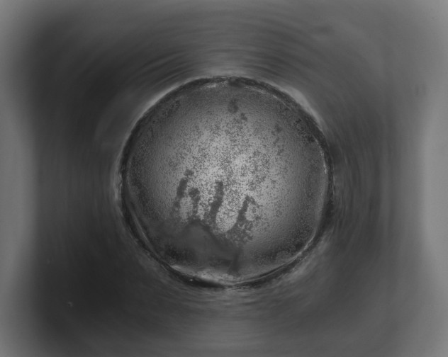 X0000101650879200807171251