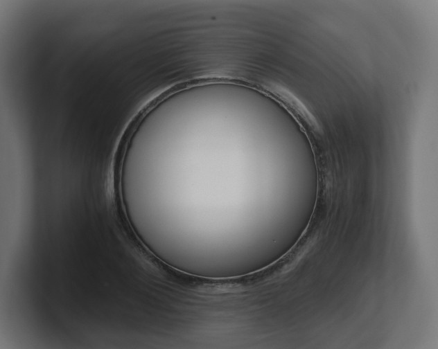 X0000101650884200807171251