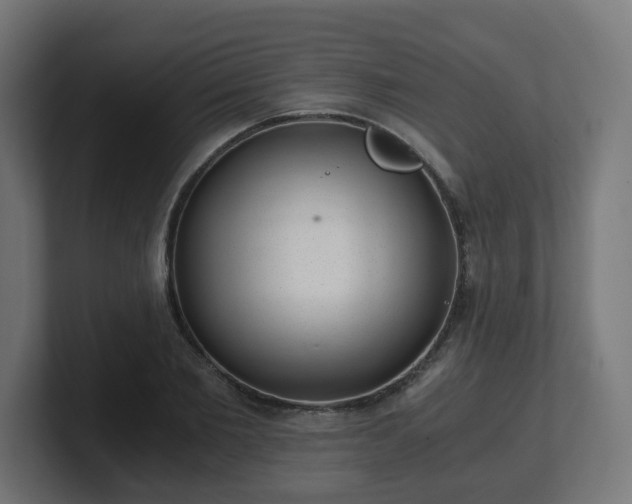 X0000101650885200807171251