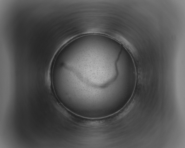 X0000101650892200807171251