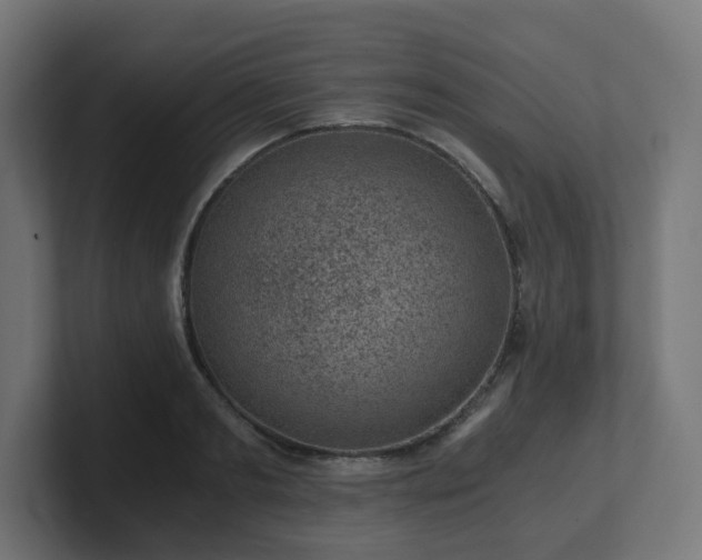 X0000101650893200807171251