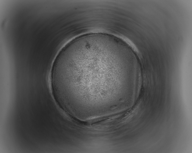 X0000101650895200807171251