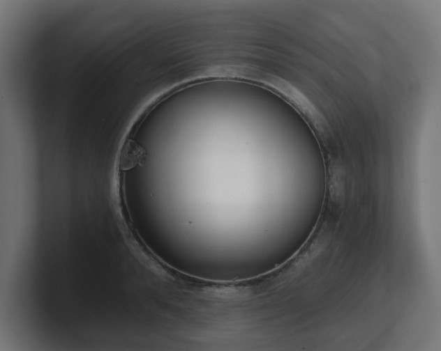 X0000101650896200807171251