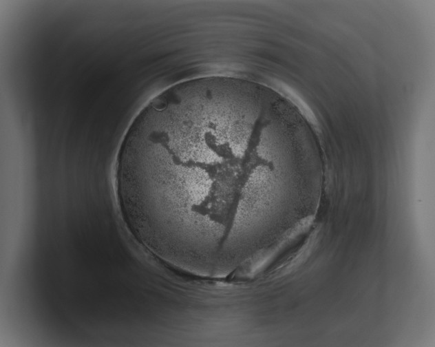 X0000101650899200807171251