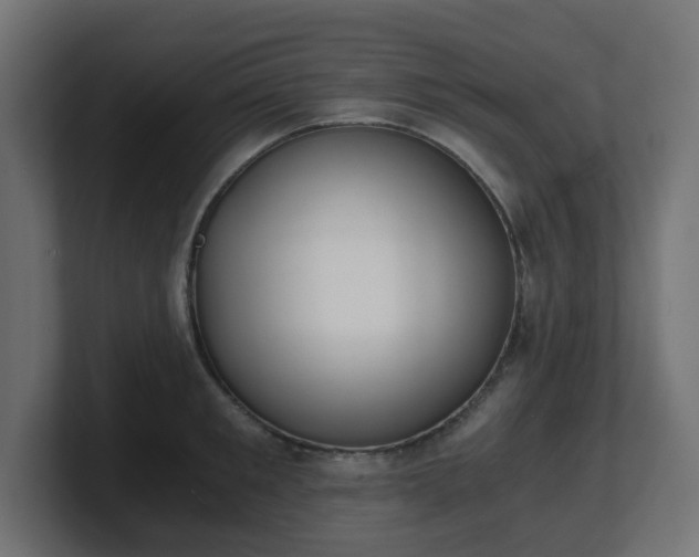 X0000101650901200807171251