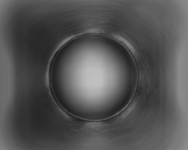 X0000101650902200807171251