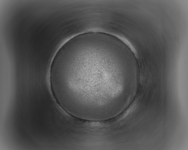 X0000101650903200807171251