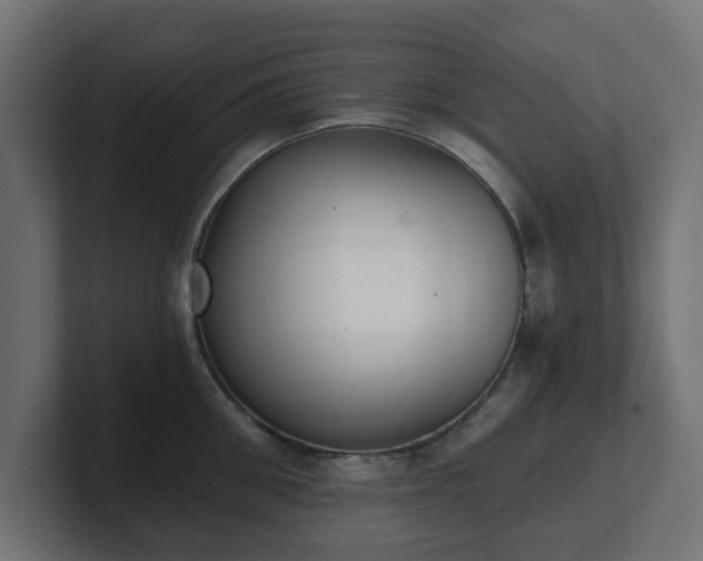 X0000101650906200807171251