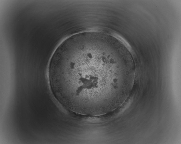 X0000101650907200807171251