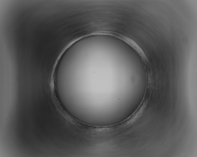 X0000101650908200807171251